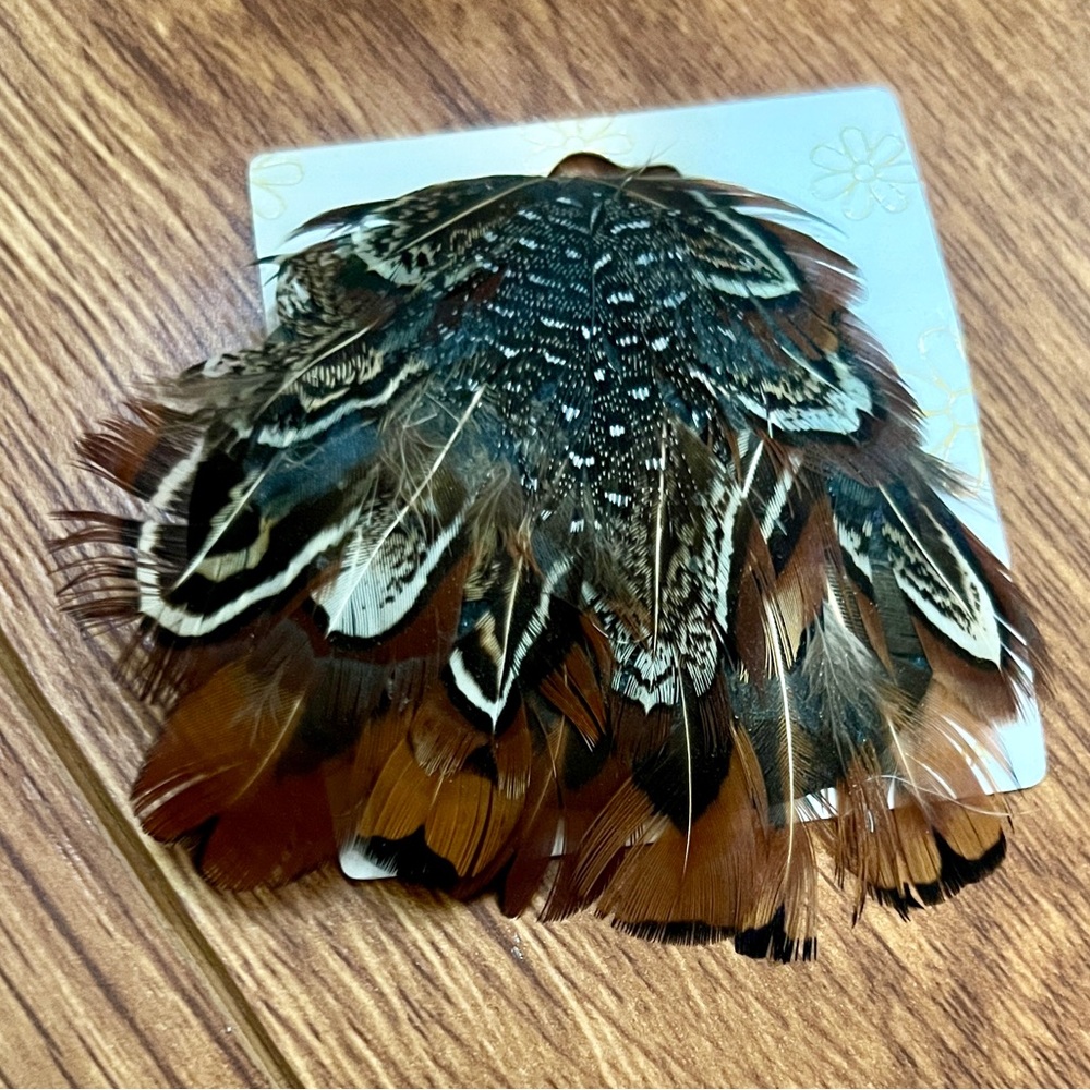 Feather Hair Clip
